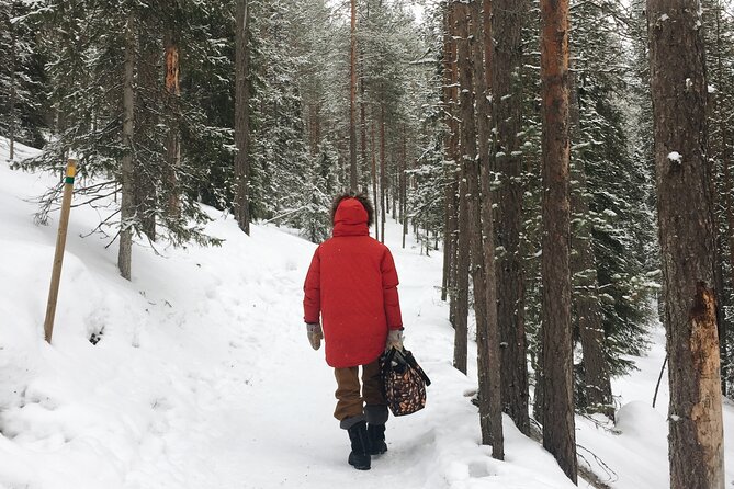 Korouoma national park and frozen waterfalls hiking tour - Price and Value for $162.40: What You Actually Get