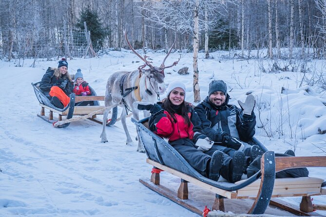 Kuoksa Reindeer Adventure - Key highlights worth knowing