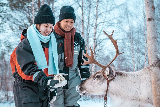 Kuoksa Reindeer Adventure - Kuoksa Reindeer Adventure: what makes this Lapland outing special