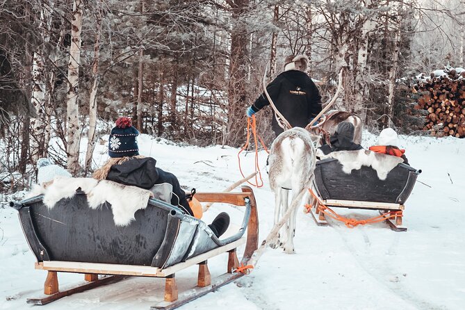 Kuoksa Reindeer Adventure - Small group size and English service, and why it matters