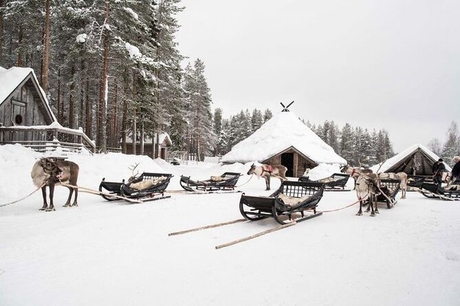 Kuoksa Reindeer Farm Visit with a Short Sleigh Ride - Quick highlights