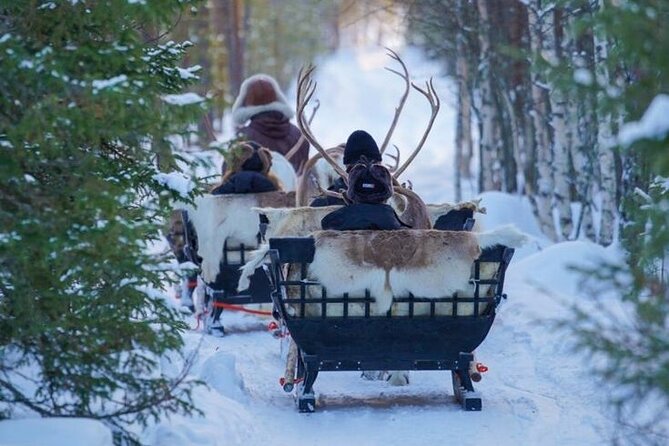 Kuoksa Reindeer Farm Visit with a Short Sleigh Ride - Getting to Pekankatu 3: pickup that keeps the day simple