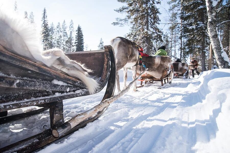 Kuusamo: Reindeer Sleigh Ride and Farm Visit - The 1.5 km reindeer sleigh ride by the riverside