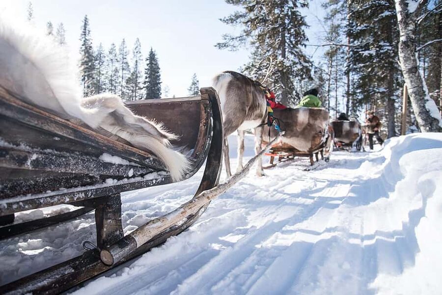 Kuusamo: Reindeer Sleigh Ride in Kujalan Porotila - Kuusamo reindeer sleigh ride, what makes this one feel special