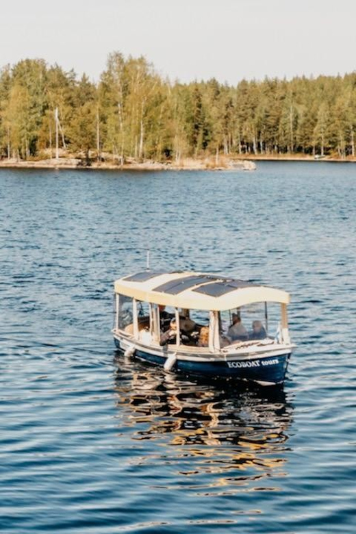 Lake Saimaa story cruise by Ecoboat in Puumala - Captain Arto’s Finland Stories, Plus the Saimaa Seal Focus