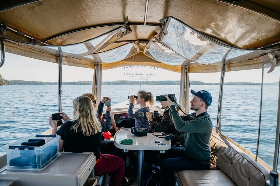 Lake Saimaa story cruise by Ecoboat in Puumala - Wildlife Odds on Lake Saimaa: Seals, Ospreys, and How Binoculars Change Everything
