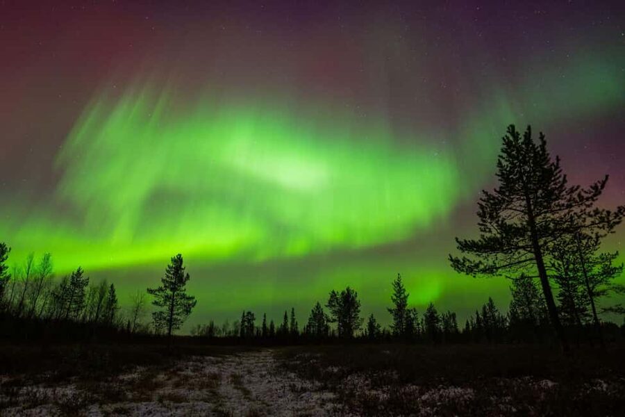Lapland: Aurora Hunting by Minivan with Guide and Transport - Key Things I’d Focus On Before You Go