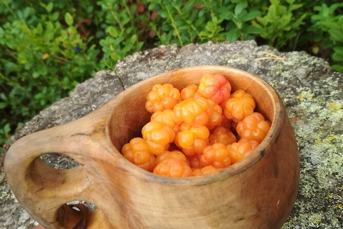 Lapland Berry Day Experience - What You Get For $133.44, And Why The Value Makes Sense