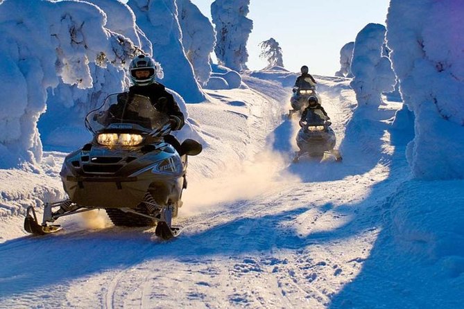 Lapland Family Snowmobile Safari from Levi - Mid-Route Cabin Break: Hot Drinks, Snacks, and the Cozy Moment