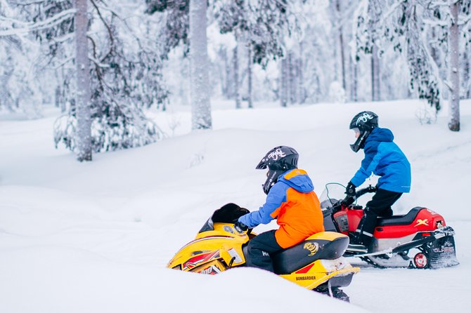 Lapland Family Snowmobile Safari from Rovaniemi - Key Points That Matter Most for Families