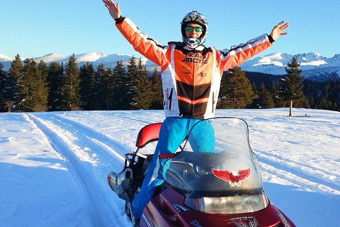 Lapland Family Snowmobile Safari from Rovaniemi - What You Actually Do Out There on the Snow