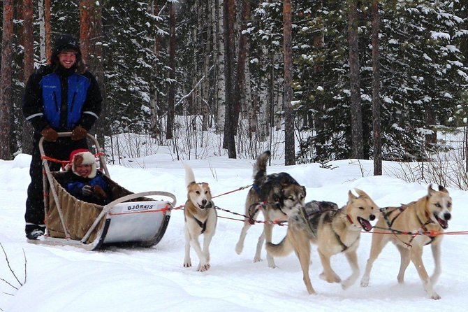 Lapland Husky Safari from Saariselkä - Urho Kekkonen National Park: A Short Farm Tour With Real Insight