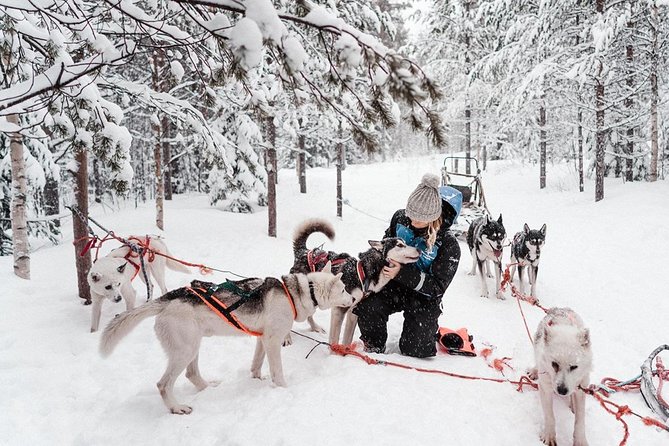 Lapland Husky Safari from Saariselkä - Photos, Timing, and the Small Rules That Keep It Fun