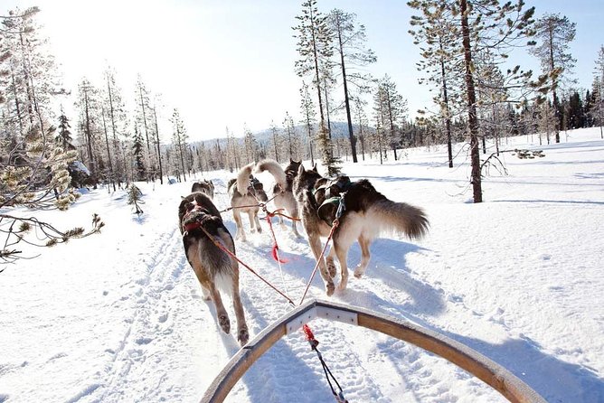 Lapland Husky Safari from Saariselkä - Getting From Your Hotel to the Husky Setup