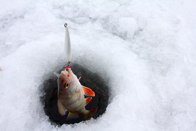Lapland Ice Fishing Experience from Rovaniemi - Rovaniemi logistics: meeting point, pickup timing, and how to plan your day
