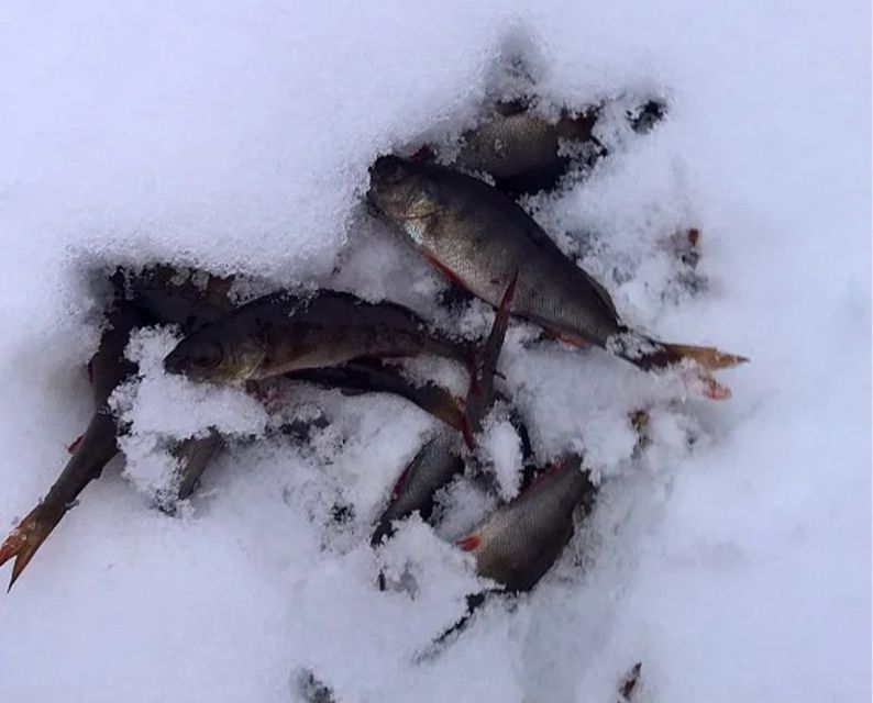 Lapland: Ice Fishing, Floating & BBQ Snow Adventure - Winter Clothes, Photos, and the Little Things That Keep You Comfortable