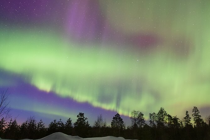 Lapland In A Day - Reindeer, Sledding, Snowmobile & Nature - When the Northern Lights show up, and when they do not