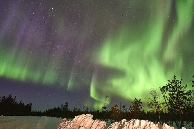 Lapland In A Day - Reindeer, Sledding, Snowmobile & Nature - Who should book this, and who might want a different style
