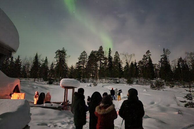Lapland In A Day - Reindeer, Sledding, Snowmobile & Nature - Price and value: why the bundled half-day works