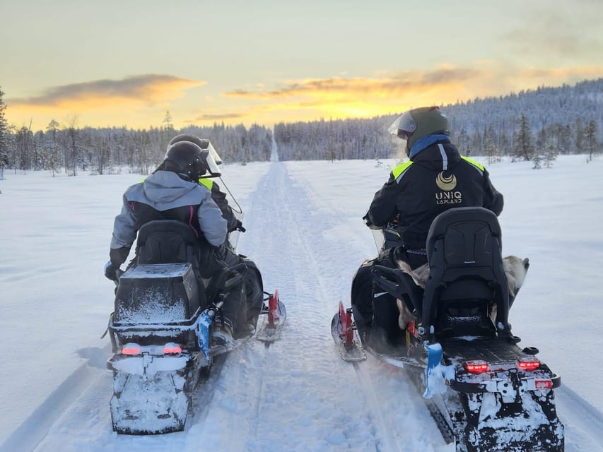 Lapland: Private Snowmobile Safari with arctic Local Guide - Evening Slots and Northern Lights Odds Without the Light Mess