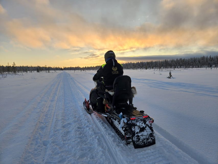 Lapland: Private Snowmobile Safari with arctic Local Guide - Price and Value: What $418 Per Group Buys You