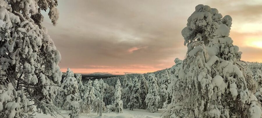 Lapland: Private Snowmobile Safari with arctic Local Guide - A 2.5-Hour Snowmobile Ride Through Pyhä-Luosto National Park