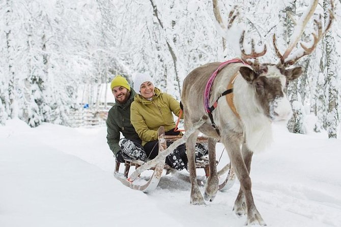 Lapland Reindeer and Husky Safari from Levi - Levi Husky and Reindeer Safaris Work If Your Day Is Tight