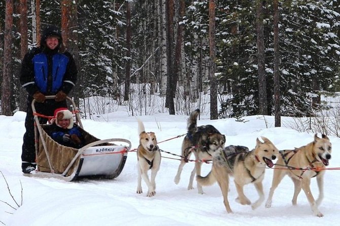 Lapland Reindeer and Husky Safari from Levi - Dressing for Cold Reality, Not Cold Fear