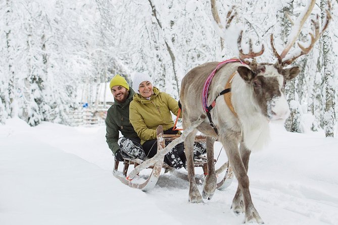 Lapland Reindeer and Husky Safari from Rovaniemi - Reindeer farm stop: feeding, learning, and a 500m sleigh ride