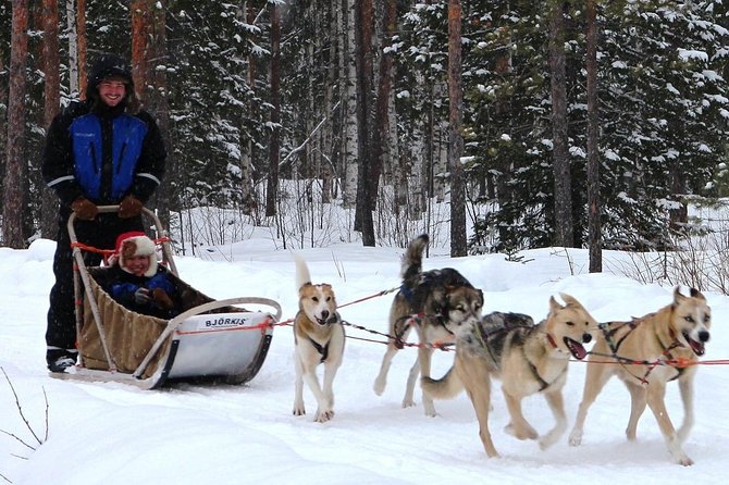 Lapland Reindeer and Husky Safari from Rovaniemi - Packing for Arctic cold: layers beat one big jacket