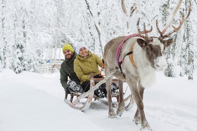 Lapland Reindeer Safari from Rovaniemi - Stop 2 in Rovaniemi: a working farm tour and everyday reindeer care