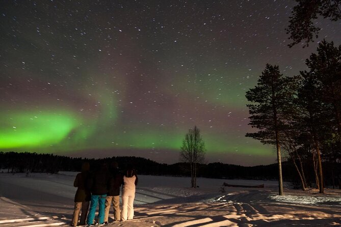 Lapland Reindeer Safari From Saariselkä - Quick highlights that make this safari worth your time