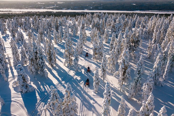 Lapland Snowmobile Safari from Rovaniemi - Two Adults Per Snowmobile, Plus the Option to Ride Your Own