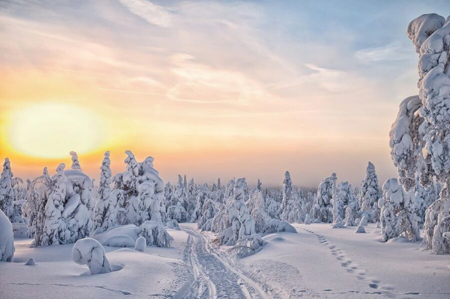 Lapland: The Frozen Waterfalls of Korouoma Tour - Mid-hike campfire lunch: why the food break is the smart part of winter travel