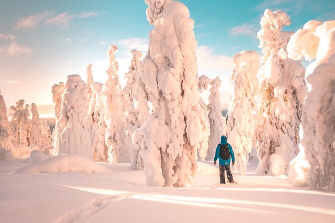 Lapland Winter Experience - Key highlights worth your attention