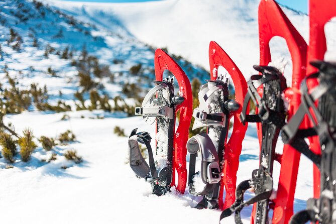 Lapland Winter Experience - Why Rovaniemi snowshoeing feels different from a city walk