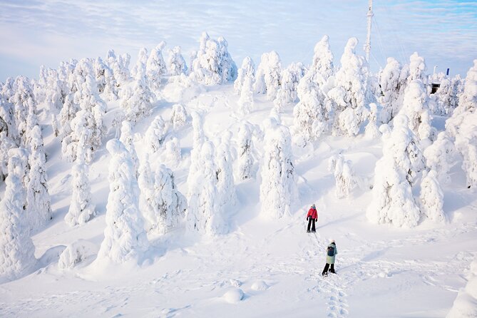 Lapland Winter Experience - Campfire warmth, sausages, marshmallows, and berry tea