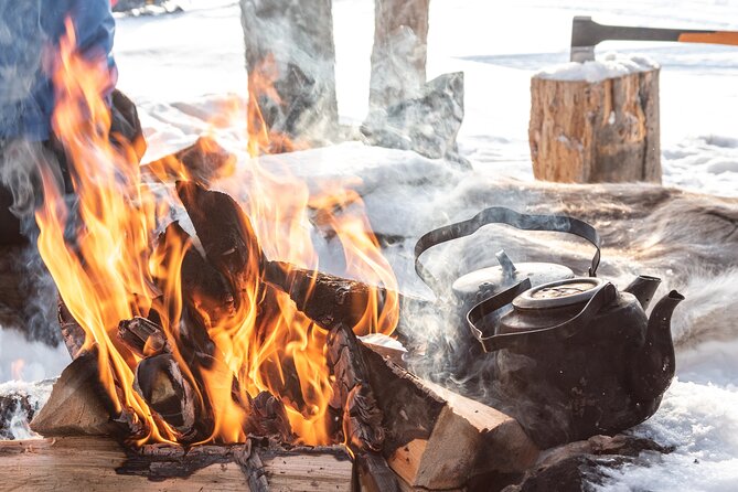 Lapland Winter Experience - Who this suits best, and who might want a different style