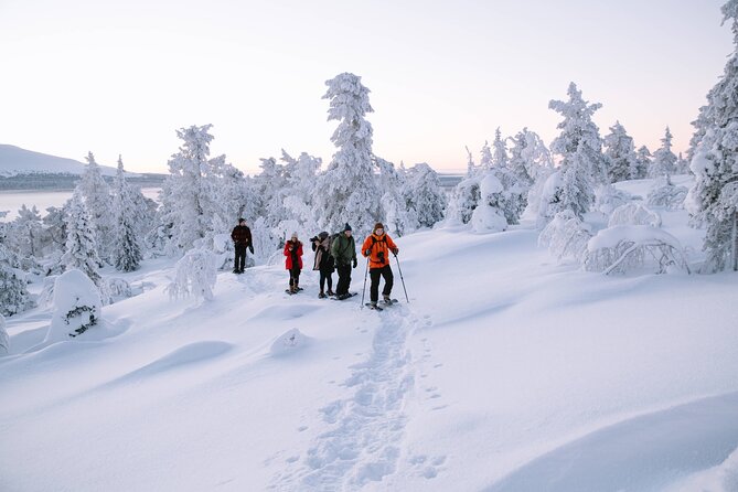 Lapland Winter Experience - The 3-hour flow, from pickup to campfire