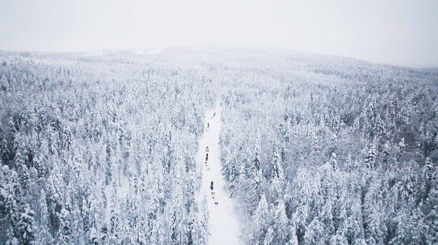 Levi: 15-Kilometres Self-Driving Husky Tour - Arriving at the husky farm, and warming up before you fly