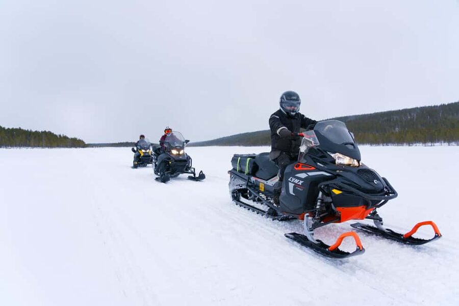Levi: 2.5-Hour Snowmobile Safari (option to buy 360 video) - Key Things That Make This Safari Worth Your Time