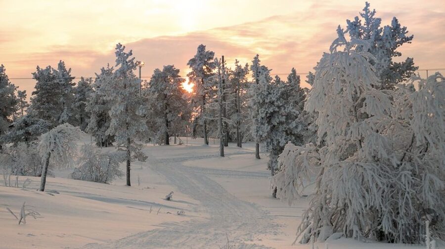 Levi: 4 Hour Snowmobile Safari to the Fells in Levi - Why this 4-hour fells safari feels like real Lapland time