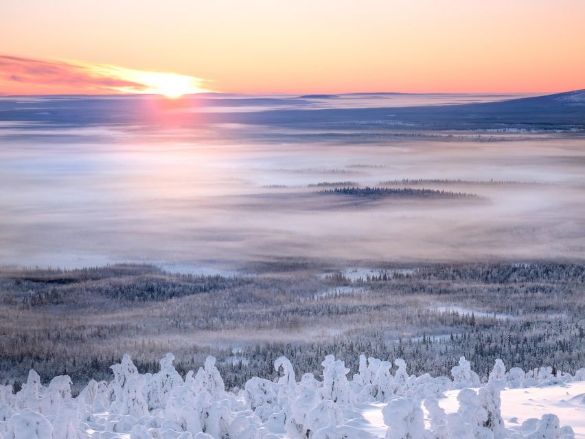 Levi: 4 Hour Snowmobile Safari to the Fells in Levi - Beyond the usual route: frozen forests, open swamps, and photo stops