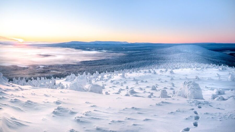 Levi: 4 Hour Snowmobile Safari to the Fells in Levi - Price and value: what you’re paying for at $233 per person