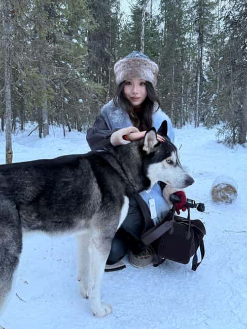 Levi: 5 Km Husky Sledding Ride in Levi - Burger King Levi to Rautusjarvi: the simple logistics that make it easy