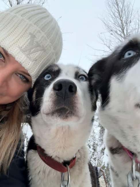 Levi: 5 Km Husky Sledding Ride in Levi - The 5 km ride through Lapland snow: what the timing and scenery mean