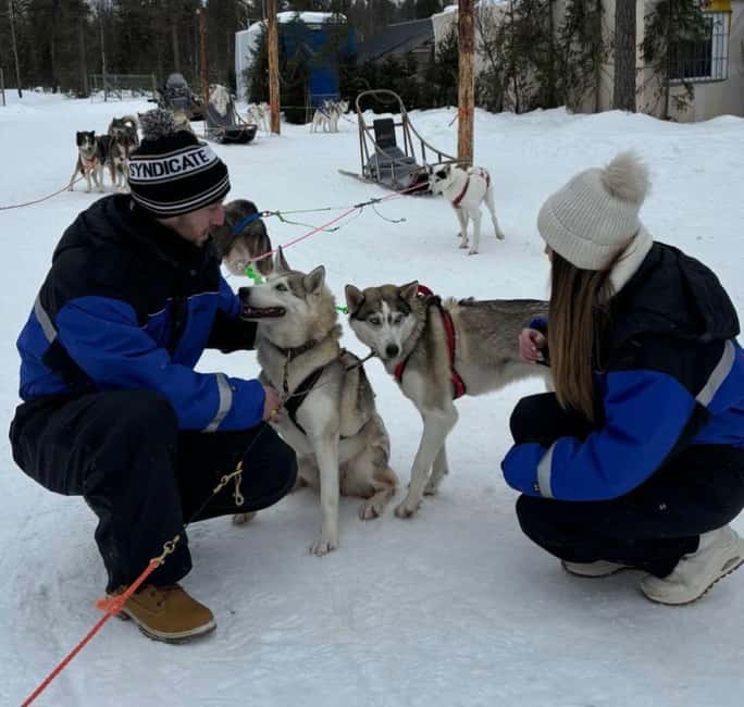 Levi: 5 Km Husky Sledding Ride in Levi - Who this fits best, and who should skip it