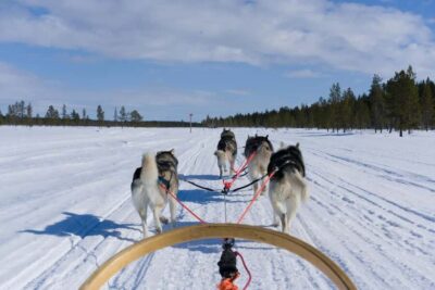 5km Self-Driven Husky Ride, Hot drinks & doughnuts