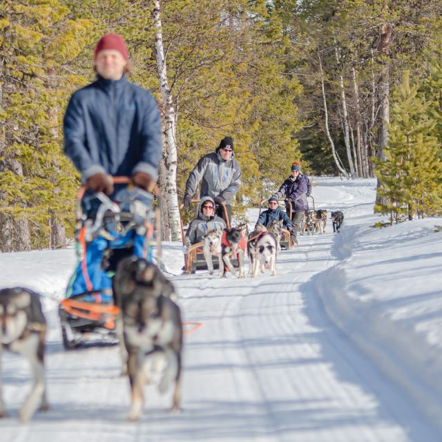 Levi: Arctic Combo – Husky & Reindeer Ride - Levi Arctic combo, what it feels like in real time