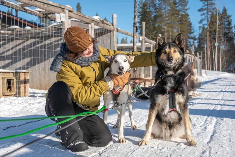 Levi: Arctic Combo – Husky & Reindeer Ride - Reindeer sleigh ride: 500 m of calm Lapland quiet